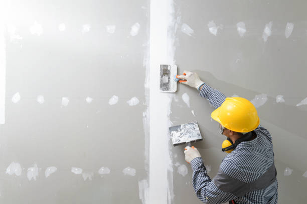 Mold Odor Removal Services in Ocala, FL